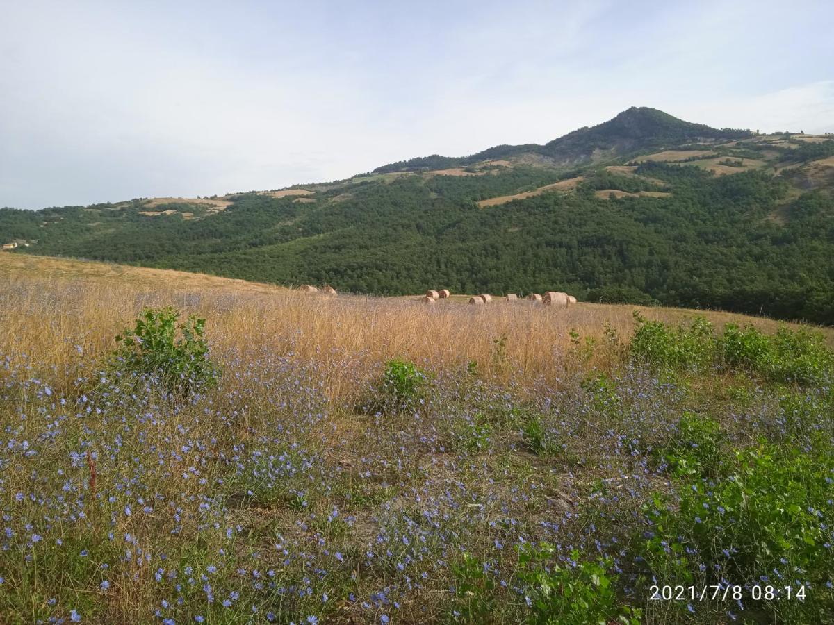 Due Principi E Una Fata Sestola Exterior photo